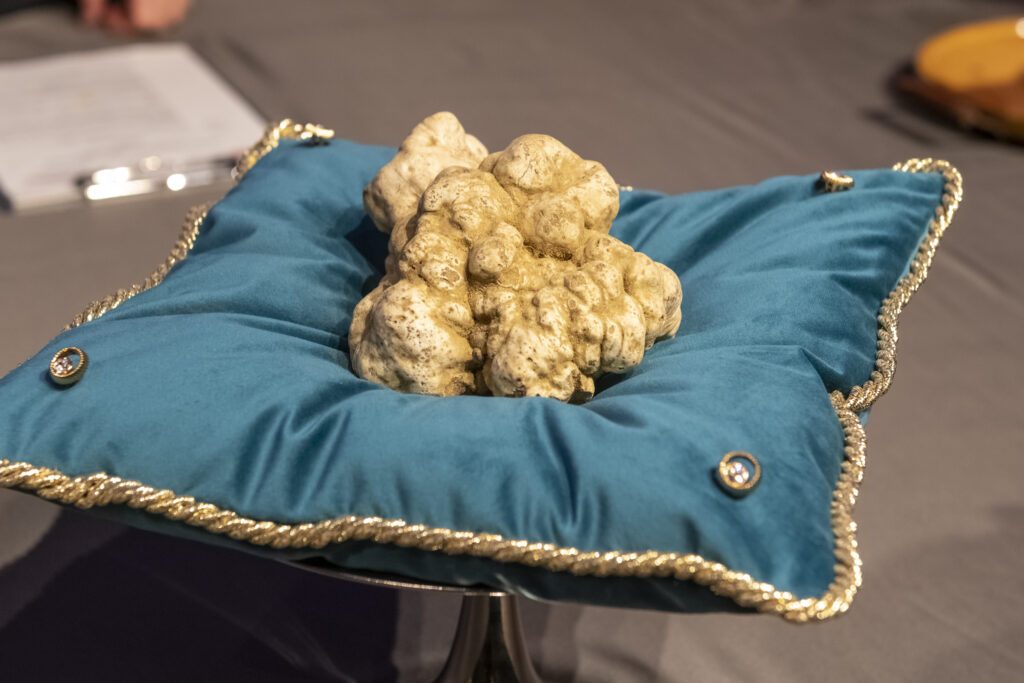 New record also for total fundraising with over 600,000 euros donated during the charity event promoted by Enoteca Regionale Piemontese Cavour