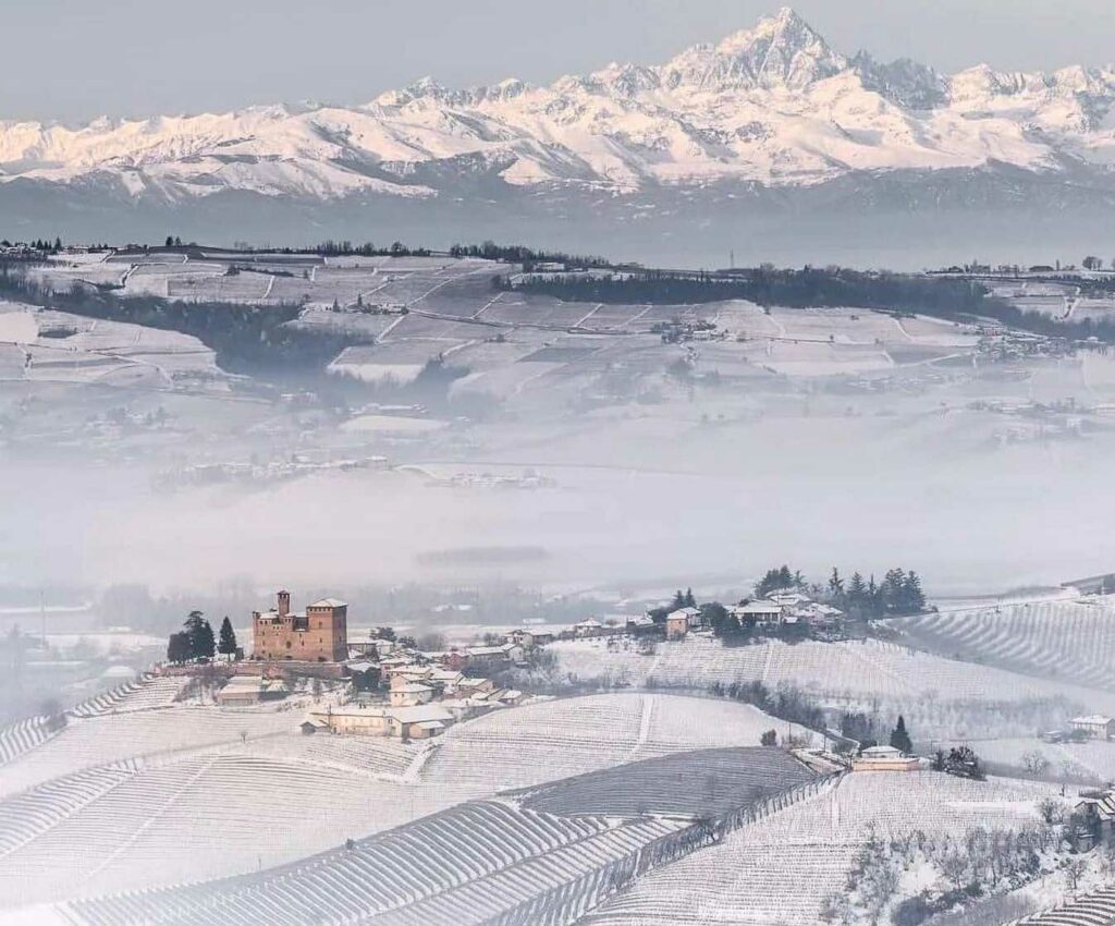 Enoteca Regionale Piemontese Cavour has closed an exceptional season.

Exceeded for the second time, after 2019, the threshold of 50 thousand entries to the Grinzane Castle and Museum